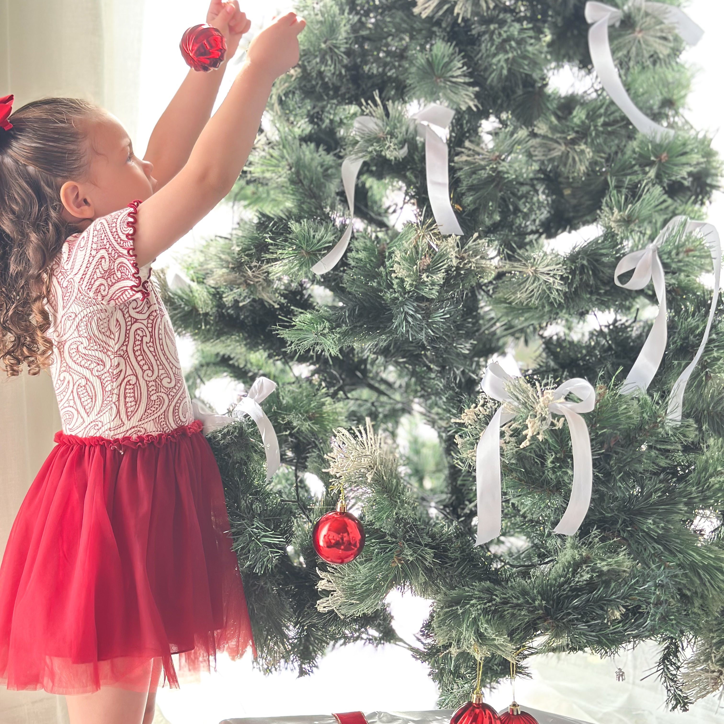 Christmas Tulle Dress - The wolf