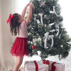 Christmas Tulle Dress - The wolf